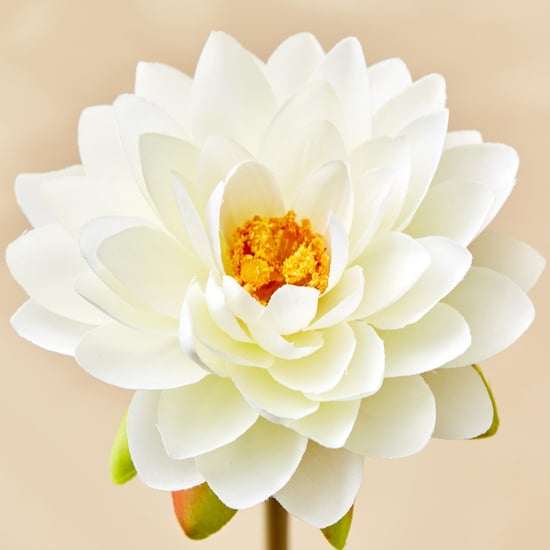 Botanical Artificial Lotus Flower - 55cm