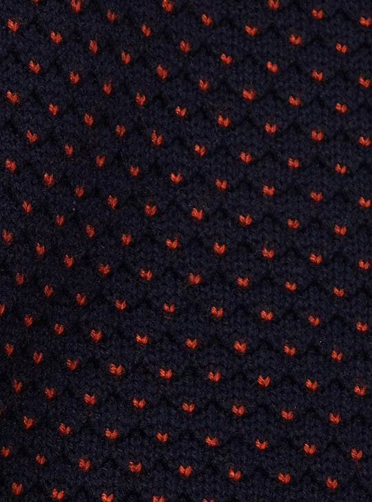 Men Embroidered Reversible Sweater