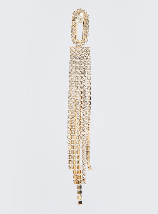 Women Embellished Dangle Earrings