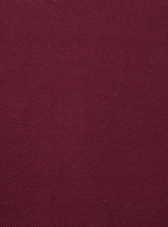 Men Slim Fit Solid Polo T-shirt