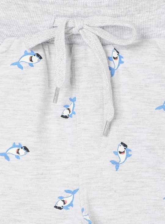 Boys Printed Elasticated Shorts