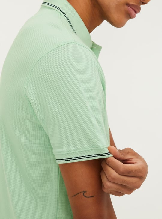 Men Regular Fit Solid Polo T-shirt