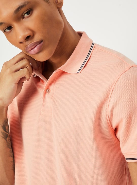 Men Regular Fit Solid Polo T-shirt