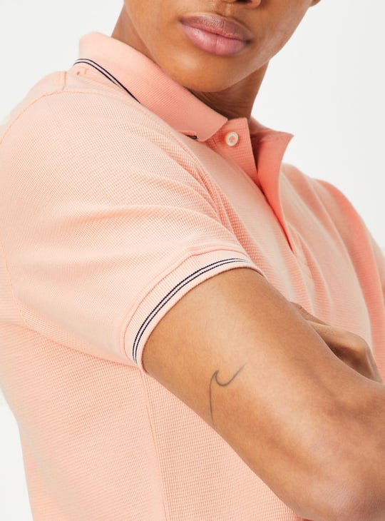 Men Regular Fit Solid Polo T-shirt