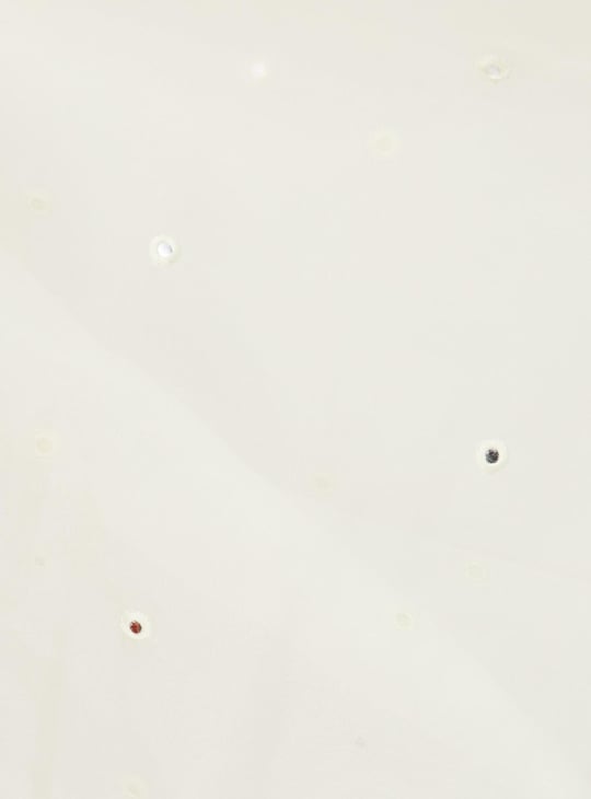 Women Embroidered Mirror-Work Dupatta