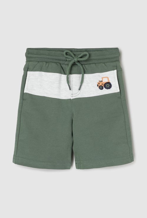 Boys Colourblocked Shorts