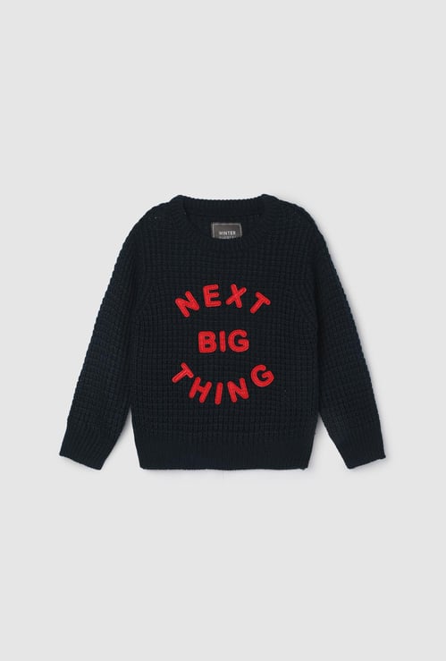 Boys Printed Sweater