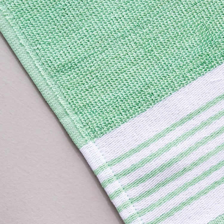 Colour Refresh Set of 4 Cotton Dish Towels