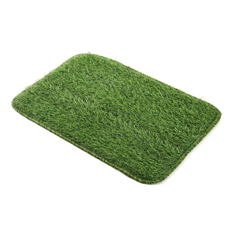 Regalia Polypropylene Tufted Grass Door Mat - 57x37cm