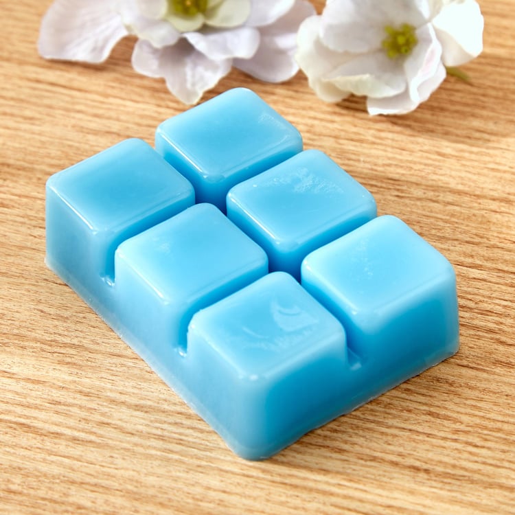 Colour Refresh Set of 6 Blueberry Scented Wax Melts