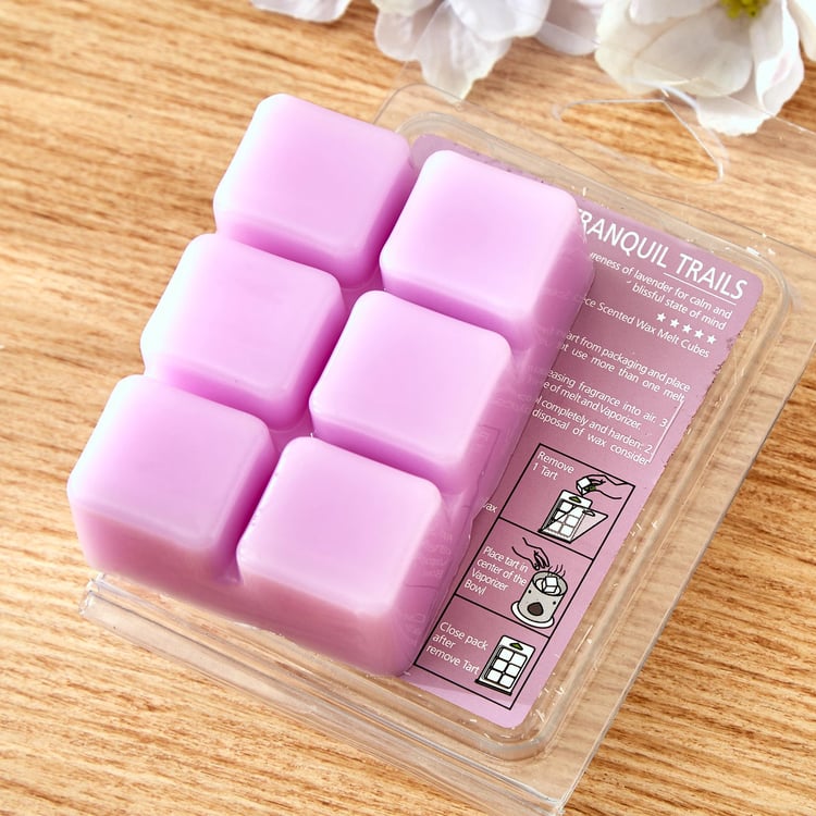 Colour Refresh Set of 6 Lavender Scented Wax Melts