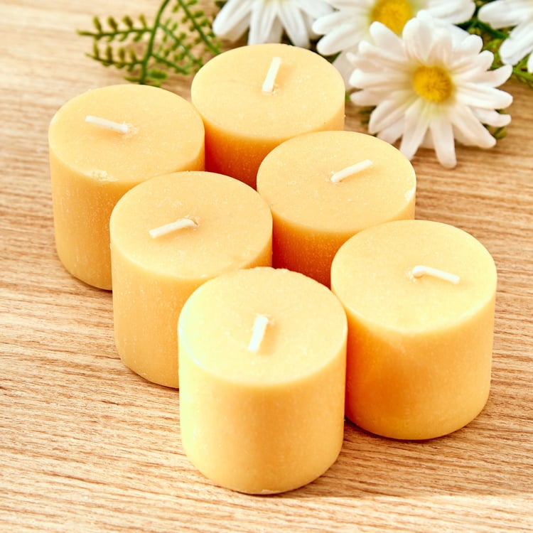 Colour Refresh Set of 6 Lemon Grass Scented Votive Candles