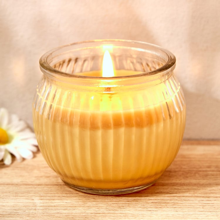 Colour Refresh Lemon Grass Scented Ribbed Jar Candle