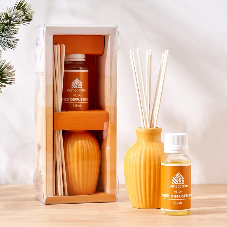 Alisa Ceramic Citrus Reed Diffuser Set