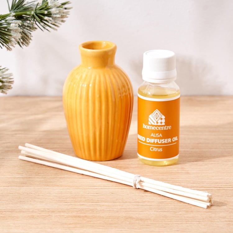 Alisa Ceramic Citrus Reed Diffuser Set