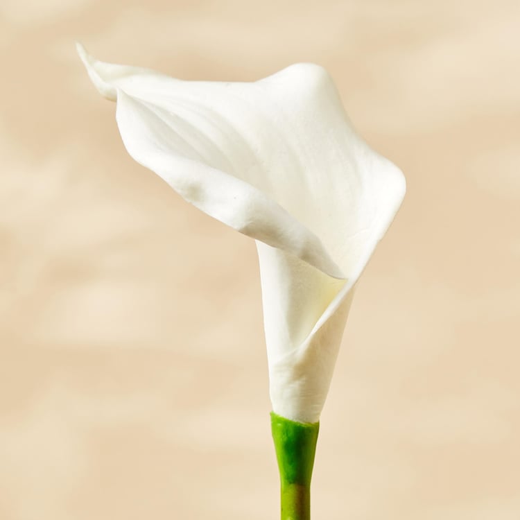 Botanical Artificial Calla Lily Flower - 35cm