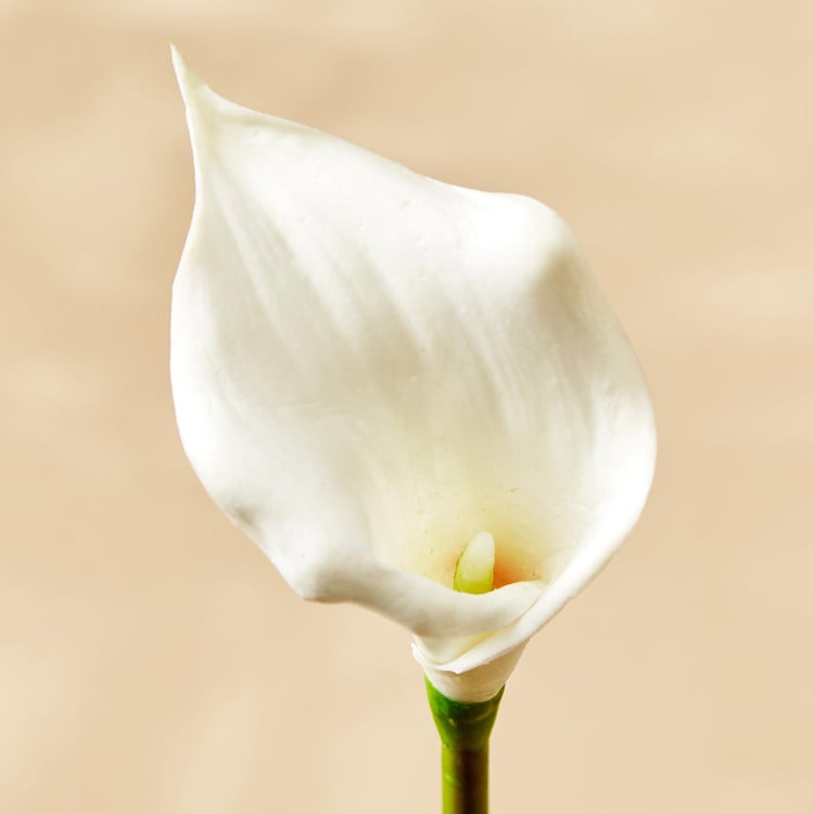 Botanical Artificial Calla Lily Flower - 35cm