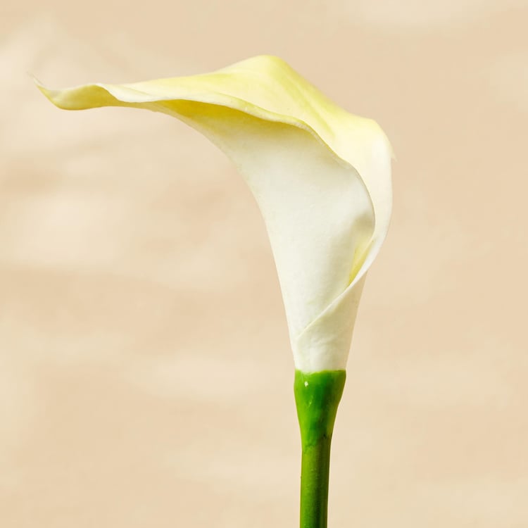 Botanical Artificial Calla lily Flower - 35cm