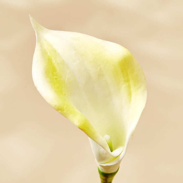 Botanical Artificial Calla lily Flower - 35cm