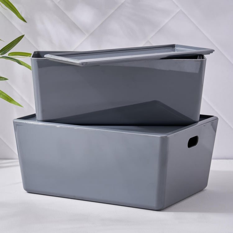 Regan Vega Storage Basket with Lid