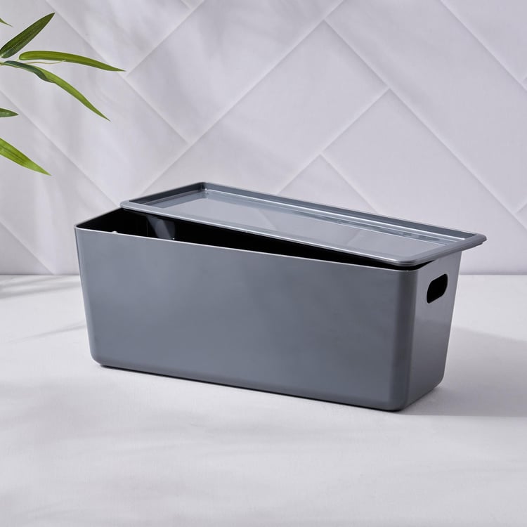 Regan Vega Storage Basket with Lid