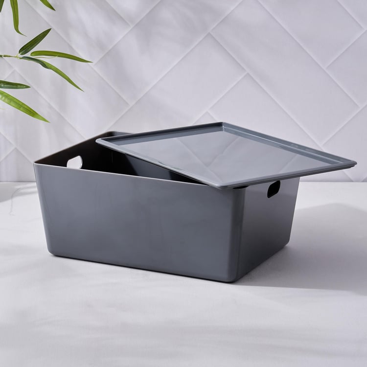 Regan Vega Storage Basket with Lid