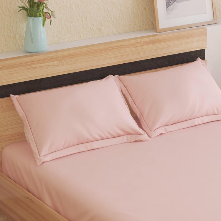 Senorita Cotton 144TC 3Pcs King Fitted Bedsheet Set