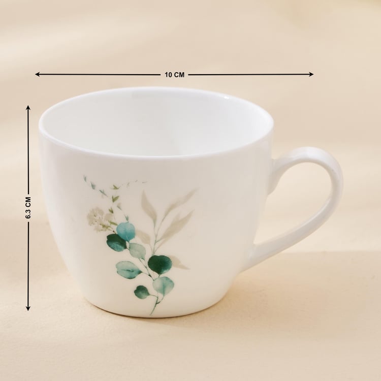 Lucas Bone China Printed Cup and Saucer - 210ml