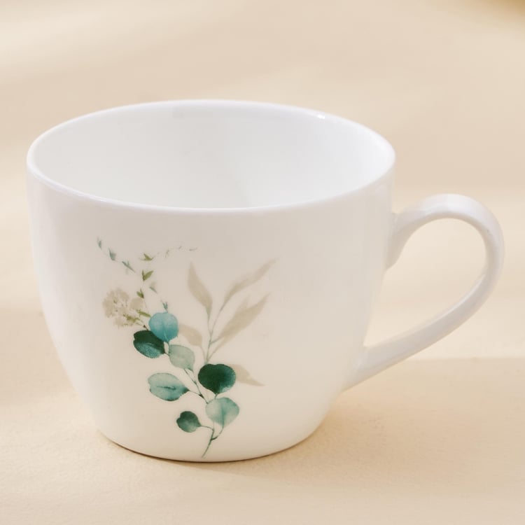 Lucas Bone China Printed Cup and Saucer - 210ml