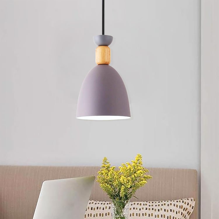 HOMESAKE Metal Ceiling lamp