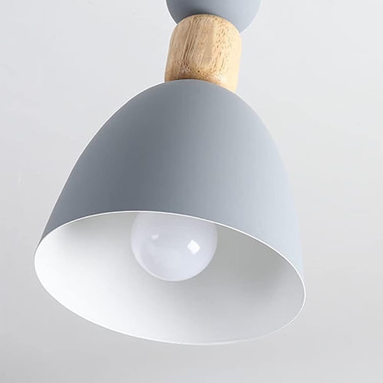 HOMESAKE Metal Ceiling lamp