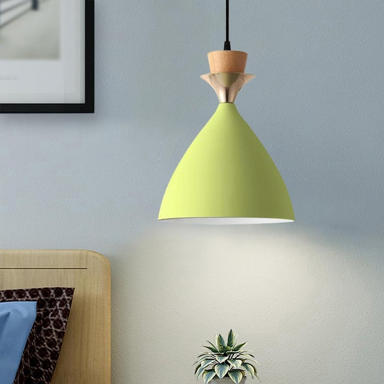 HOMESAKE Metal Pendant Ceiling Lamp