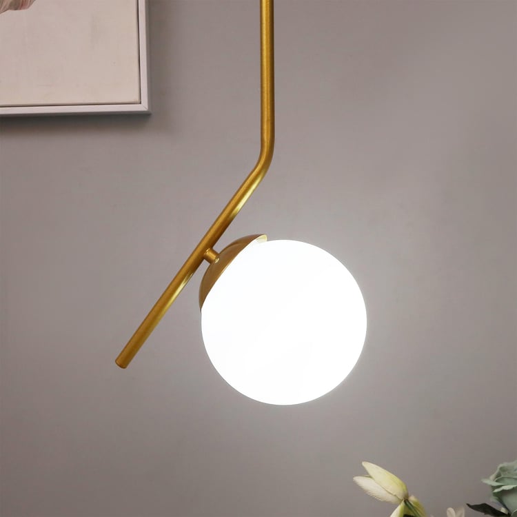 HOMESAKE Metal Ceiling Lamp