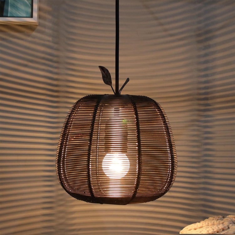 HOMESAKE Metal Ceiling Lamp