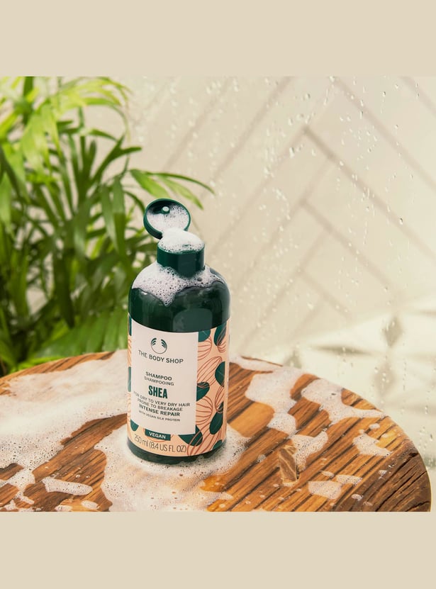 THE BODY SHOP Shea Intense Repair Shampoo- 250ml