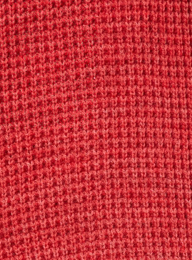 Boys Knit Raglan Sleeves Sweater