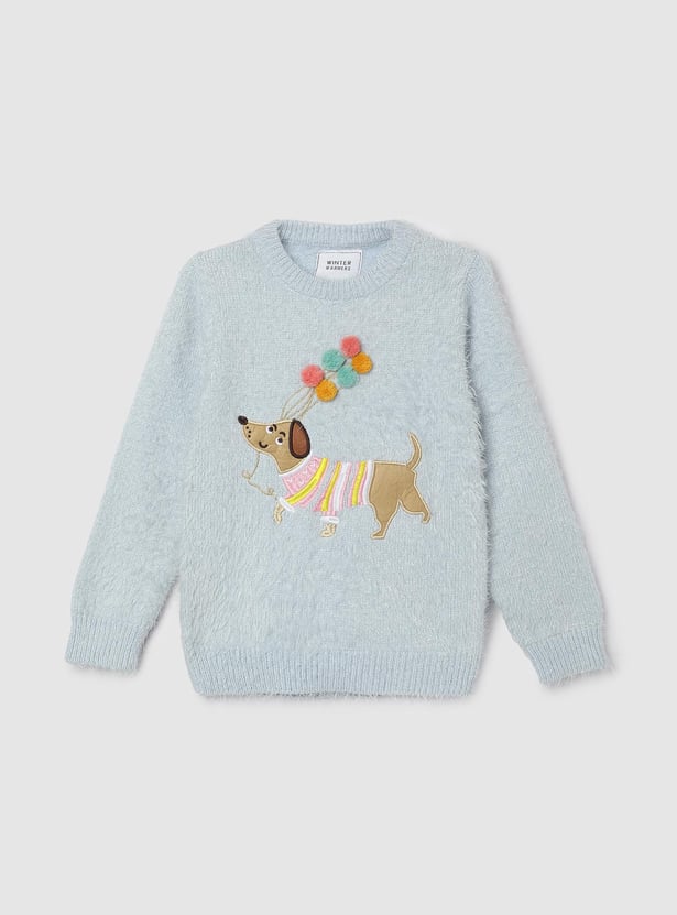 Girls Crew Neck Applique Sweater