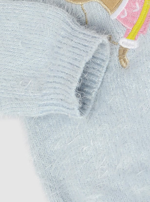 Girls Crew Neck Applique Sweater