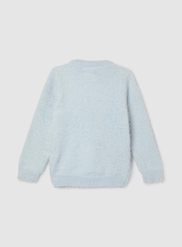 Girls Crew Neck Applique Sweater