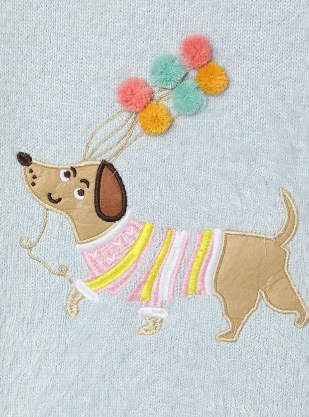 Girls Crew Neck Applique Sweater